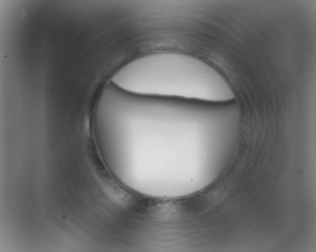 X0000069830310200605190949