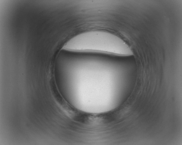 X0000069830311200605190949