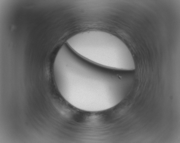 X0000069830312200605190949