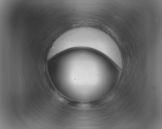 X0000069830313200605190949