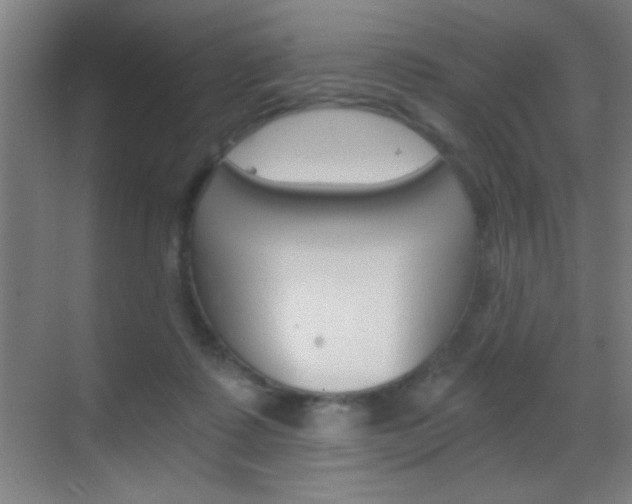 X0000069830315200605190949