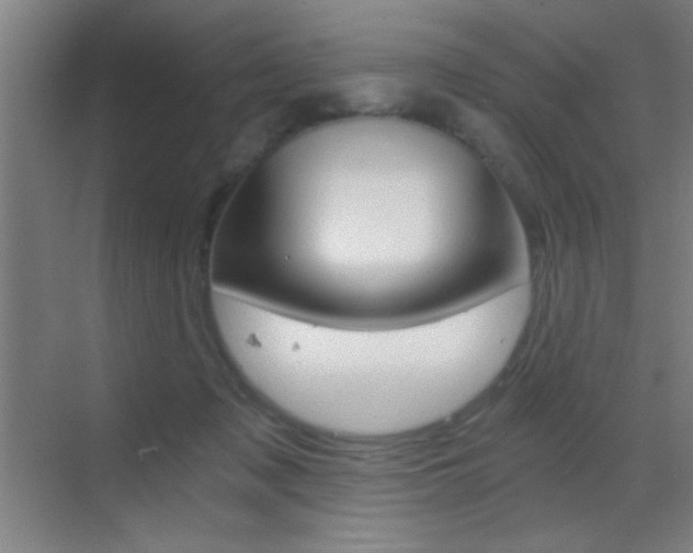 X0000069830317200605190948