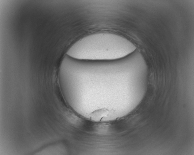 X0000069830318200605190948