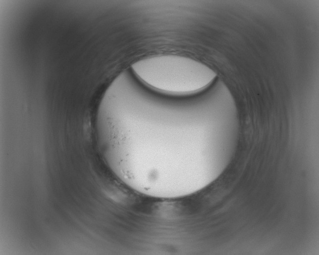 X0000069830320200605190948