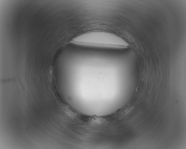 X0000069830321200605190948