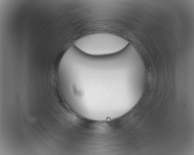 X0000069830322200605190948