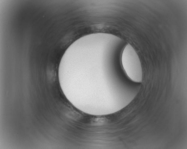 X0000069830324200605190948