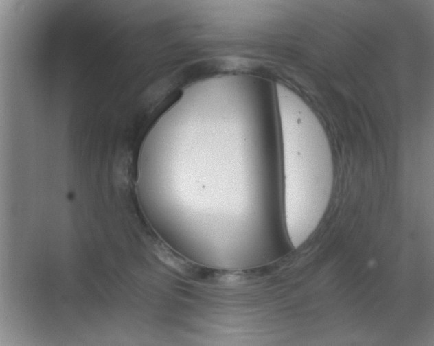 X0000069830325200605190948