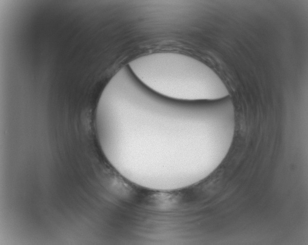 X0000069830326200605190948