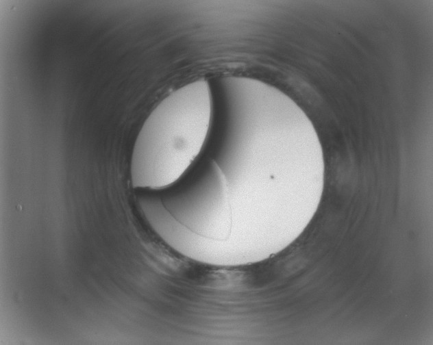 X0000069830328200605190948