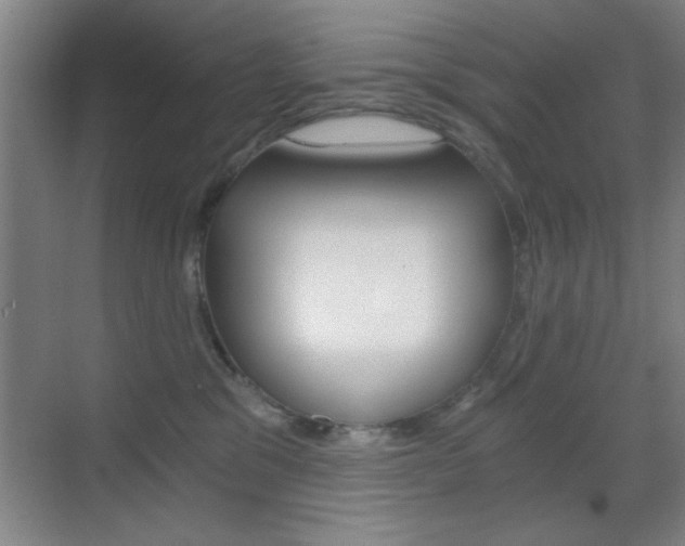 X0000069830329200605190948