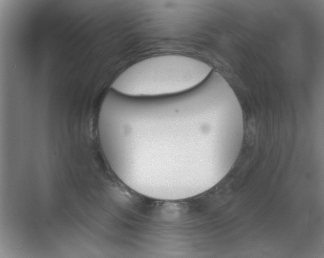 X0000069830330200605190948