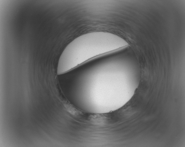 X0000069830331200605190948