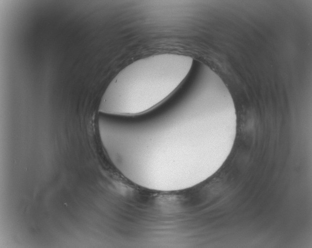 X0000069830332200605190948