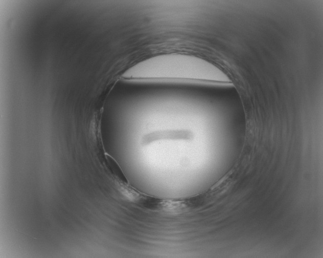 X0000069830333200605190948