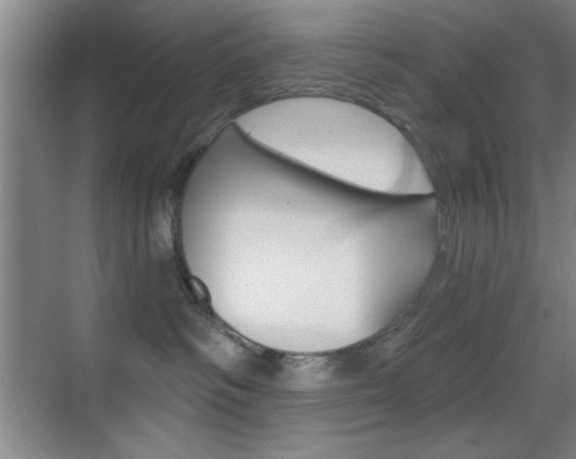 X0000069830334200605190948