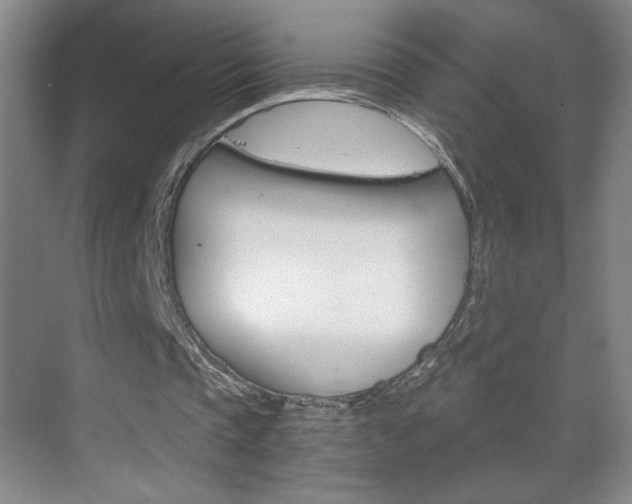 X0000069830337200605190947