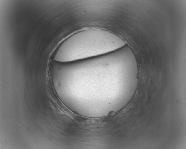 X0000069830338200605190947