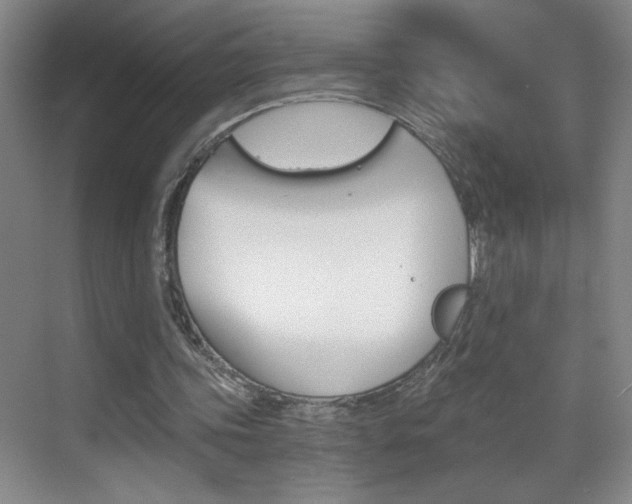 X0000069830339200605190947