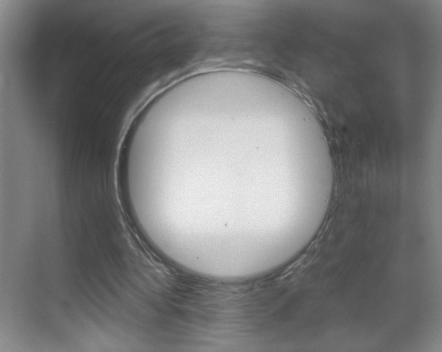 X0000069830340200605190947