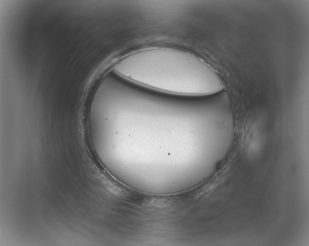 X0000069830341200605190947