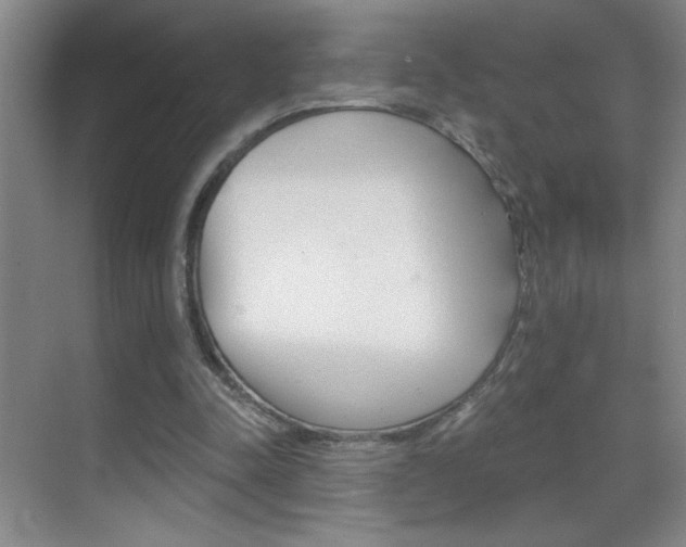 X0000069830342200605190947