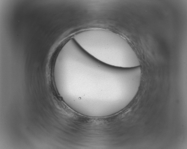 X0000069830343200605190947