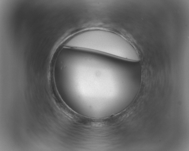 X0000069830344200605190947