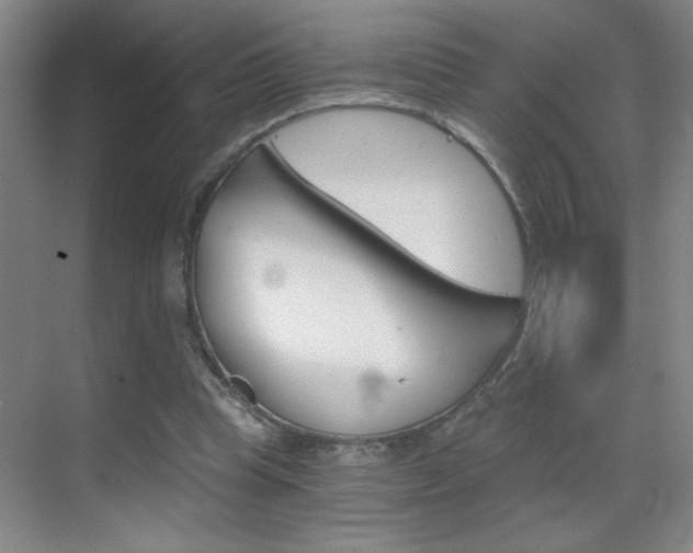 X0000069830345200605190948