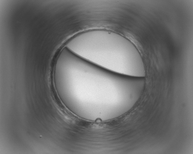 X0000069830346200605190948