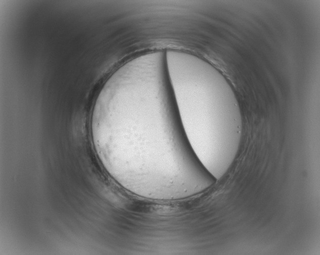 X0000069830347200605190948