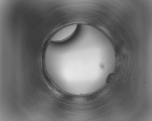 X0000069830349200605190948