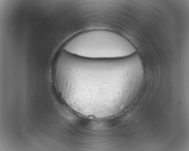 X0000069830351200605190948