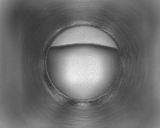 X0000069830352200605190948