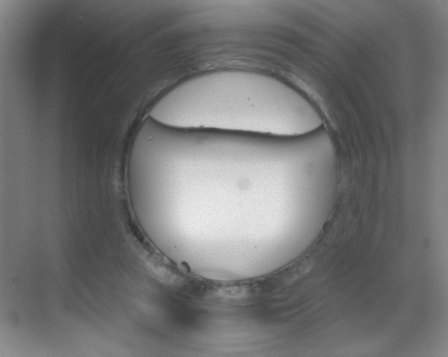 X0000069830353200605190948