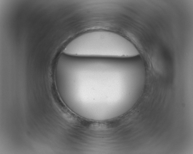 X0000069830354200605190948