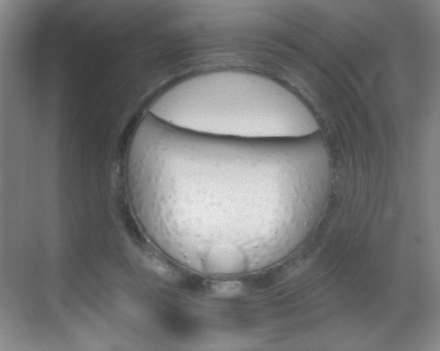 X0000069830355200605190948