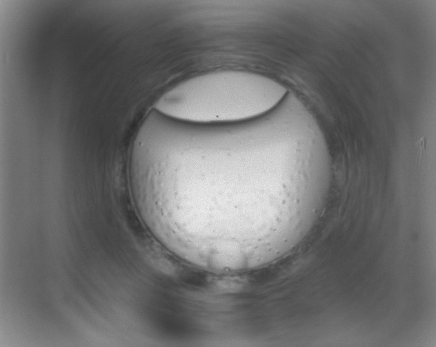 X0000069830359200605190948