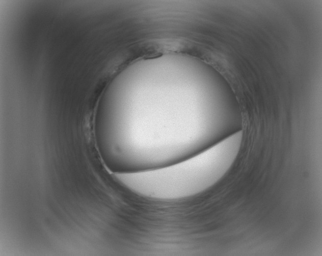 X0000069830360200605190948