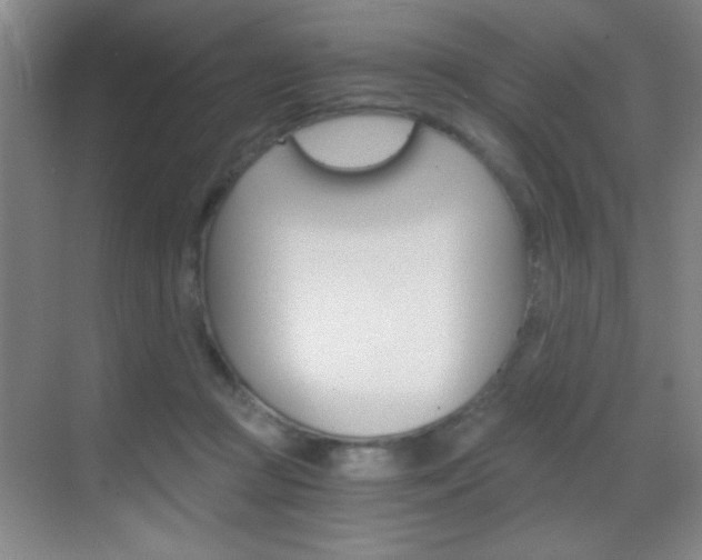 X0000069830361200605190948