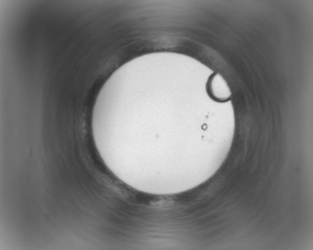 X0000069830362200605190948