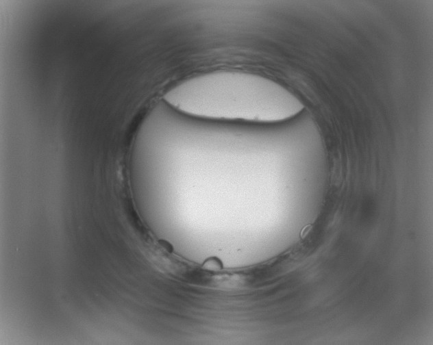 X0000069830363200605190948