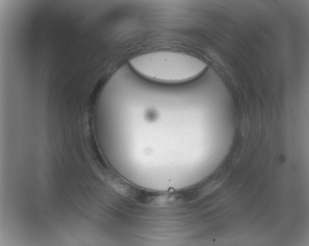 X0000069830366200605190948