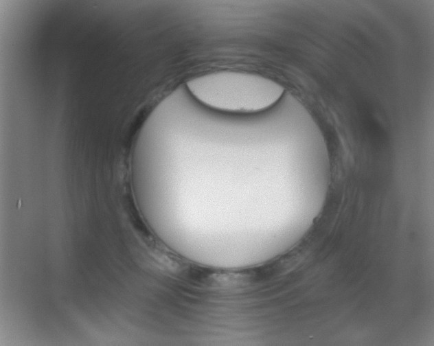 X0000069830367200605190948