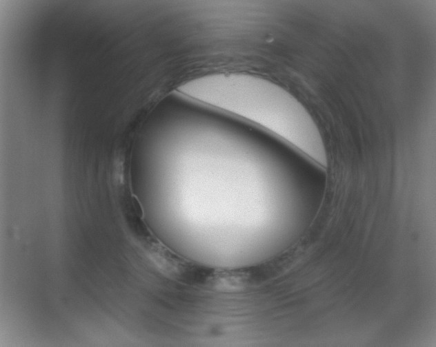 X0000069830368200605190948