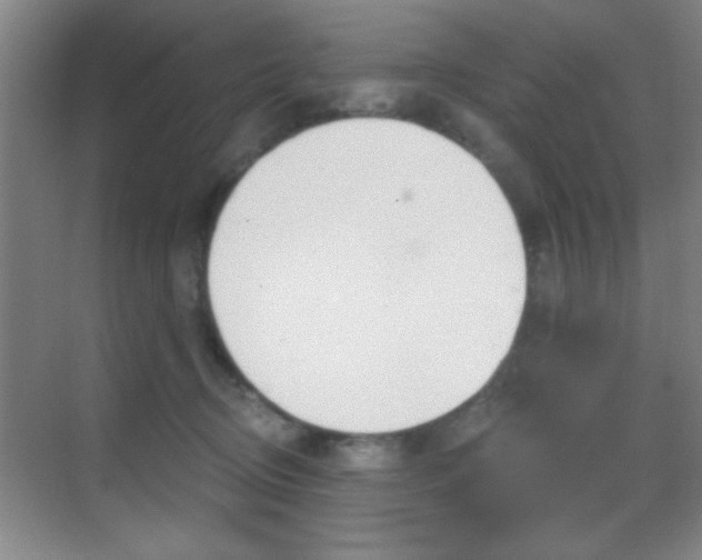 X0000069830370200605190948