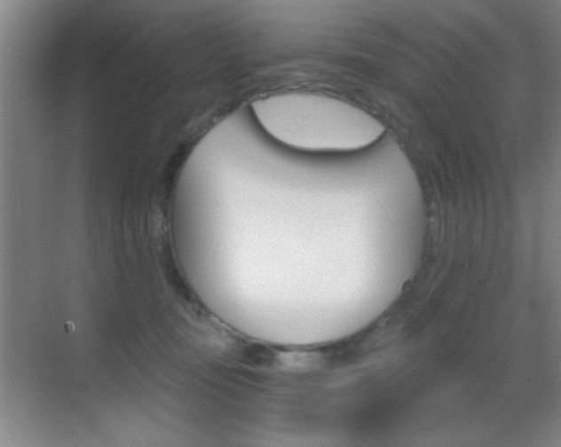 X0000069830371200605190948