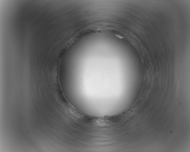 X0000069830372200605190948