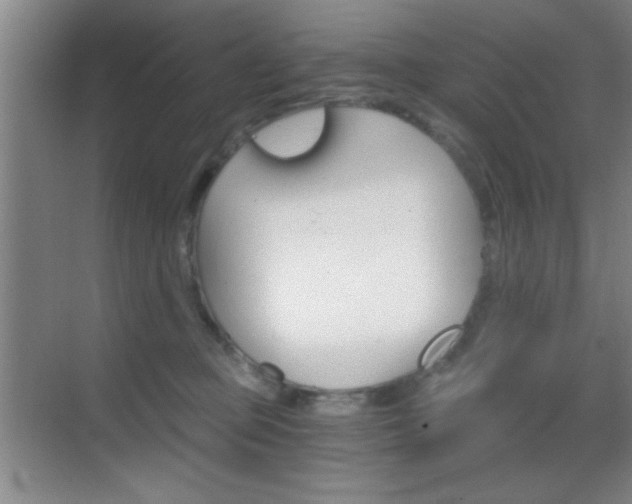 X0000069830373200605190948