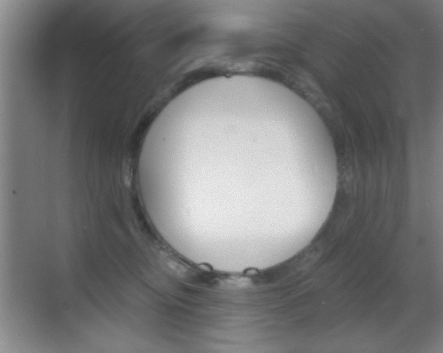 X0000069830374200605190948